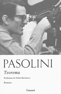 Teorema, il libro